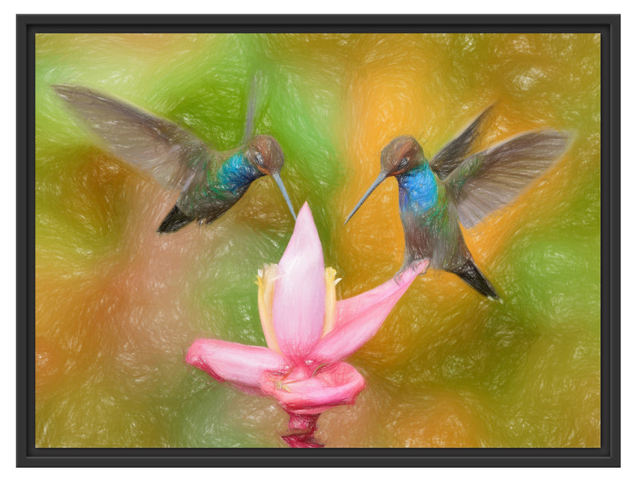 Kolibris in den Tropen Schattenfugenrahmen 80x60