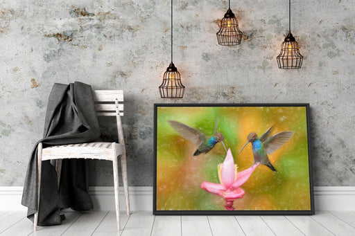 Kolibris in den Tropen Schattenfugenrahmen Wohnzimmer