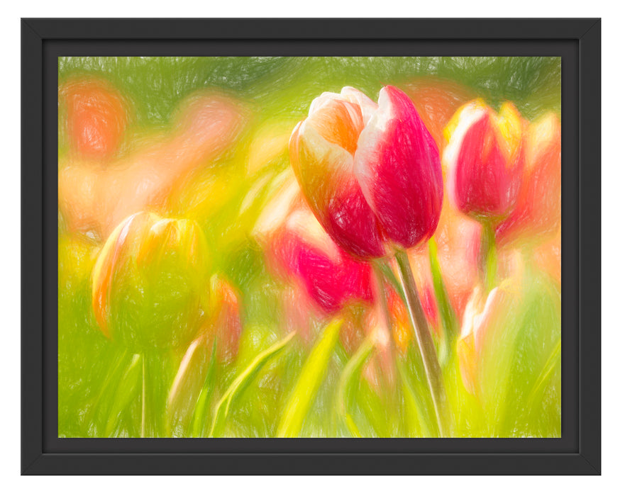 Blühende Tulpen Schattenfugenrahmen 38x30
