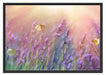 Schmetterlinge auf Lavendelblumen Schattenfugenrahmen 100x70
