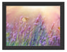 Schmetterlinge auf Lavendelblumen Schattenfugenrahmen 38x30
