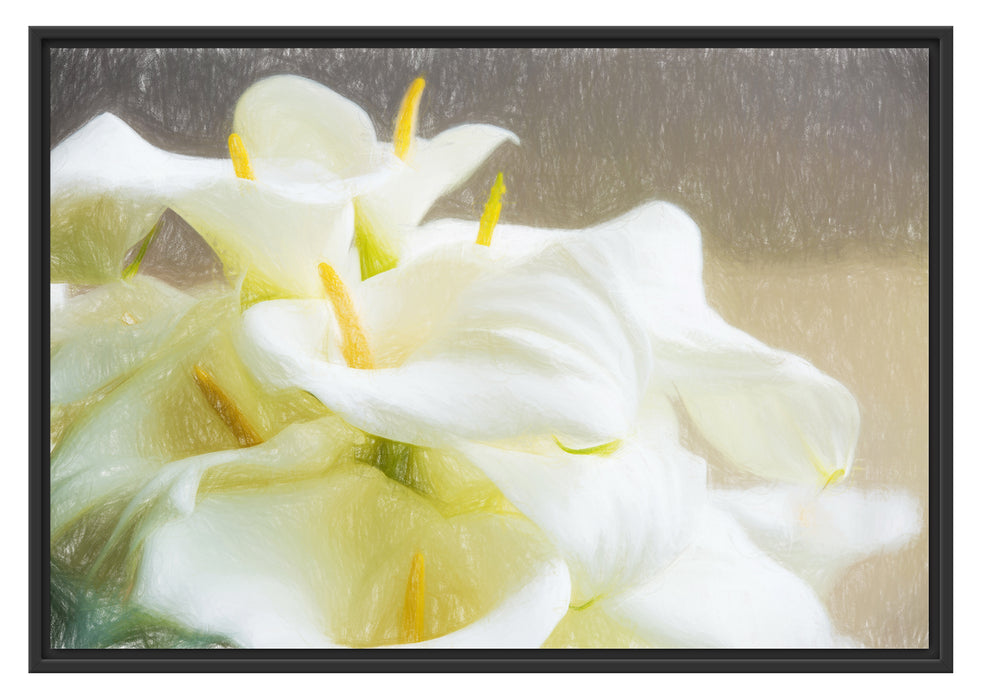Pixxprint Wunderschöne weiße Calla Lilien