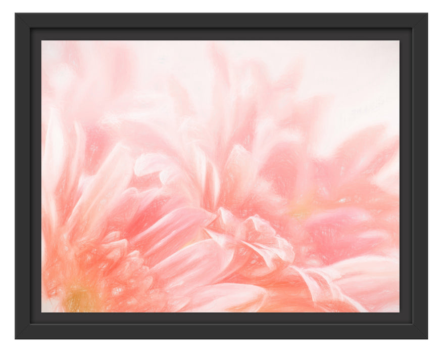 Gerbera-Blume Schattenfugenrahmen 38x30