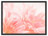 Gerbera-Blume Schattenfugenrahmen 80x60