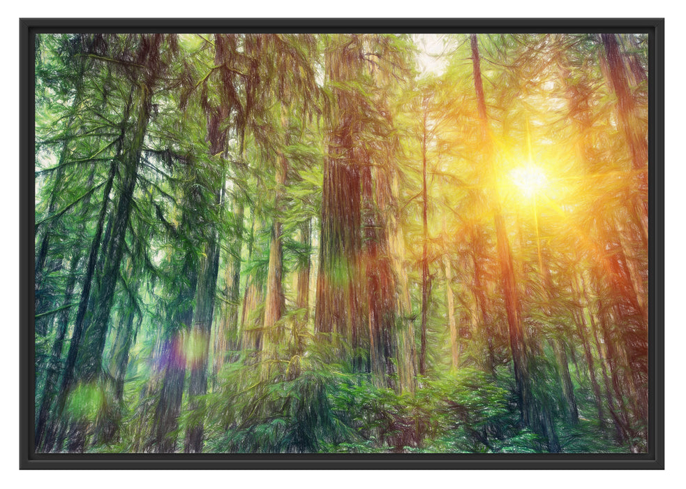 Pixxprint Wald bei Sonnenlicht