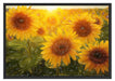 Sonnenblumen auf dem Feld Schattenfugenrahmen 100x70