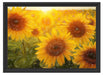 Sonnenblumen auf dem Feld Schattenfugenrahmen 55x40