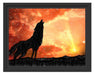 Wolf Heulen Schattenfugenrahmen 38x30