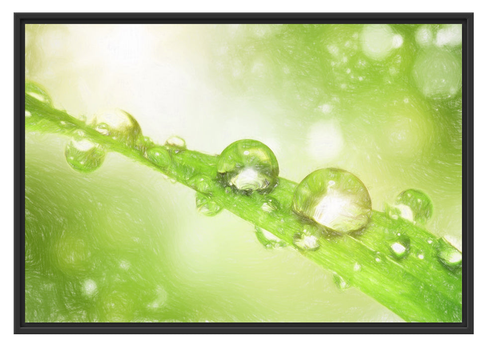 Pixxprint Wassertropfen auf Grashalm