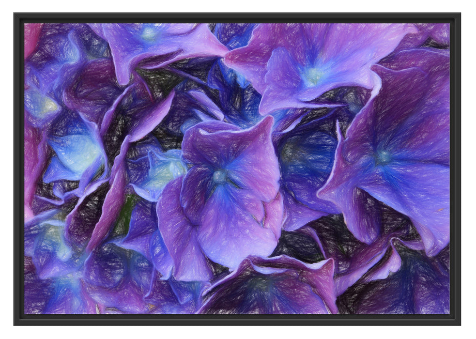 Pixxprint Hortensien Blüte