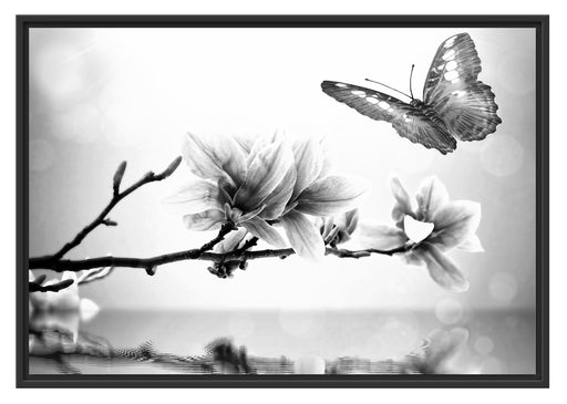 Schmetterling mit Magnolien-Blüte Schattenfugenrahmen 100x70