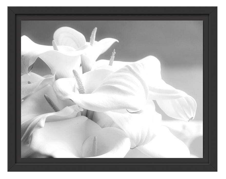 weiße Calla Lilien Kunst B&W Schattenfugenrahmen 38x30