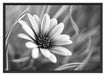 Blume in der Natur Schattenfugenrahmen 100x70