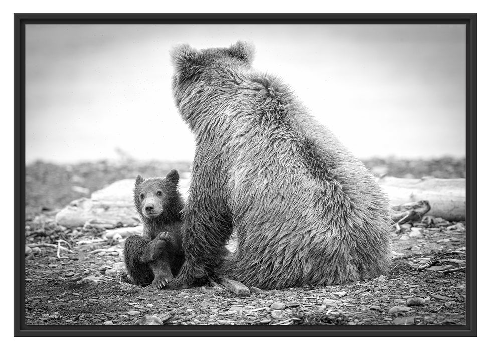 Bär mit Baby nach dem Baden Schattenfugenrahmen 100x70