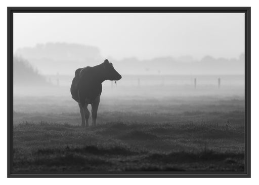 fressende Kuh auf der Weide Schattenfugenrahmen 100x70
