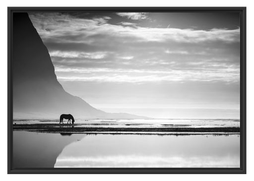 Pferd am Ufer einer Insel Schattenfugenrahmen 100x70