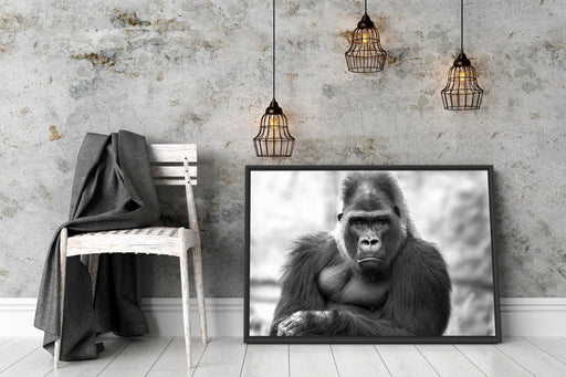 gelangweilter Gorilla Kunst B&W Schattenfugenrahmen Wohnzimmer