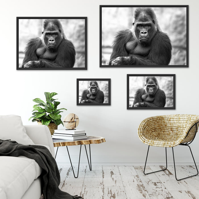 gelangweilter Gorilla Kunst B&W Schattenfugenrahmen Dekovorschlag