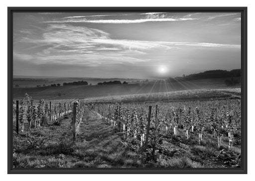 Weinberg in Bergerac Frankreich Schattenfugenrahmen 100x70