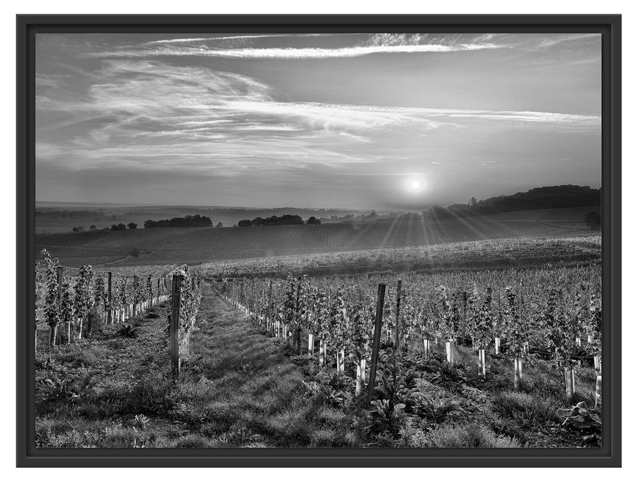 Weinberg in Bergerac Frankreich Schattenfugenrahmen 80x60