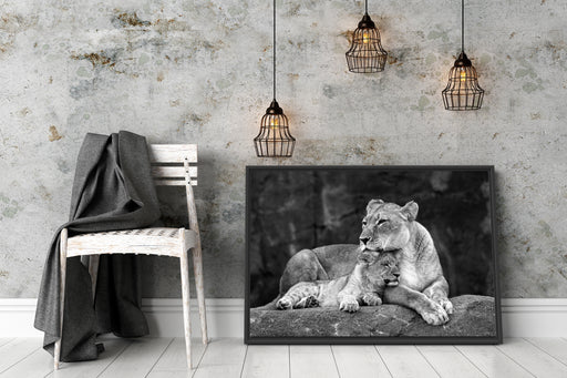 Löwe Löwenjungen Schattenfugenrahmen Wohnzimmer