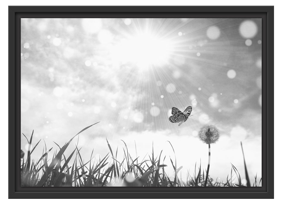 Schmetterling fliegt zu Pusteblume Schattenfugenrahmen 55x40