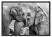 Elefantenmutter mit Kalb B&W Schattenfugenrahmen 100x70