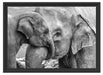 Elefantenmutter mit Kalb B&W Schattenfugenrahmen 55x40