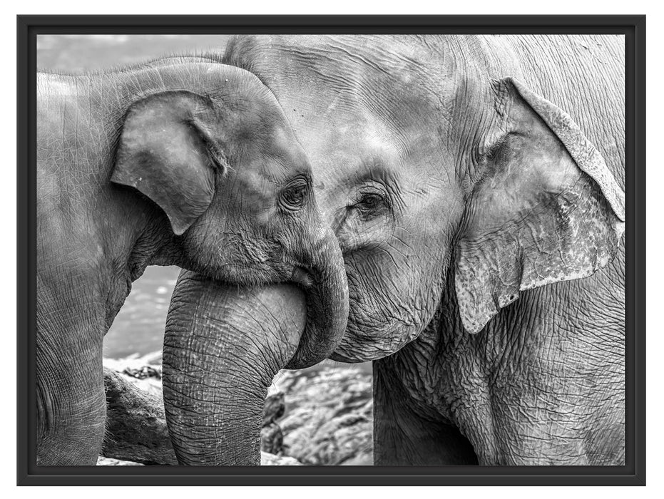 Elefantenmutter mit Kalb B&W Schattenfugenrahmen 80x60