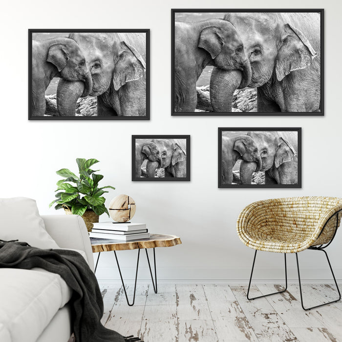 Elefantenmutter mit Kalb B&W Schattenfugenrahmen Dekovorschlag