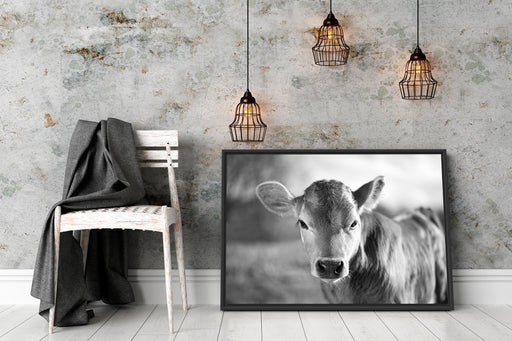 Junge Kuh Kälbchen Kunst B&W Schattenfugenrahmen Wohnzimmer