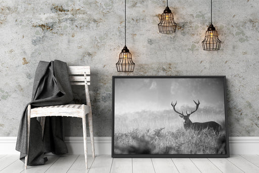 Rotwild Hirsch im Nebel Kunst B&W Schattenfugenrahmen Wohnzimmer