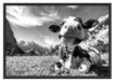 Kuh im Karwendelgebirge Kunst B&W Schattenfugenrahmen 100x70