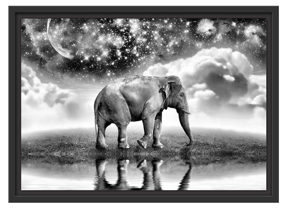 Elefant, Wiese, Himmel, Afrika Schattenfugenrahmen 55x40