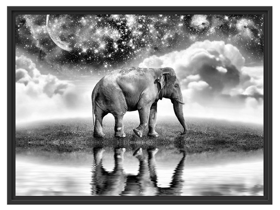 Elefant, Wiese, Himmel, Afrika Schattenfugenrahmen 80x60