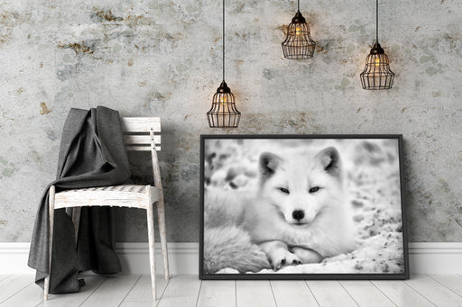 Weißer Fuchs Schattenfugenrahmen Wohnzimmer