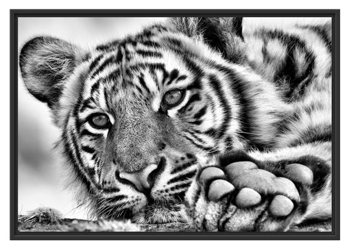 Tiger Schattenfugenrahmen 100x70