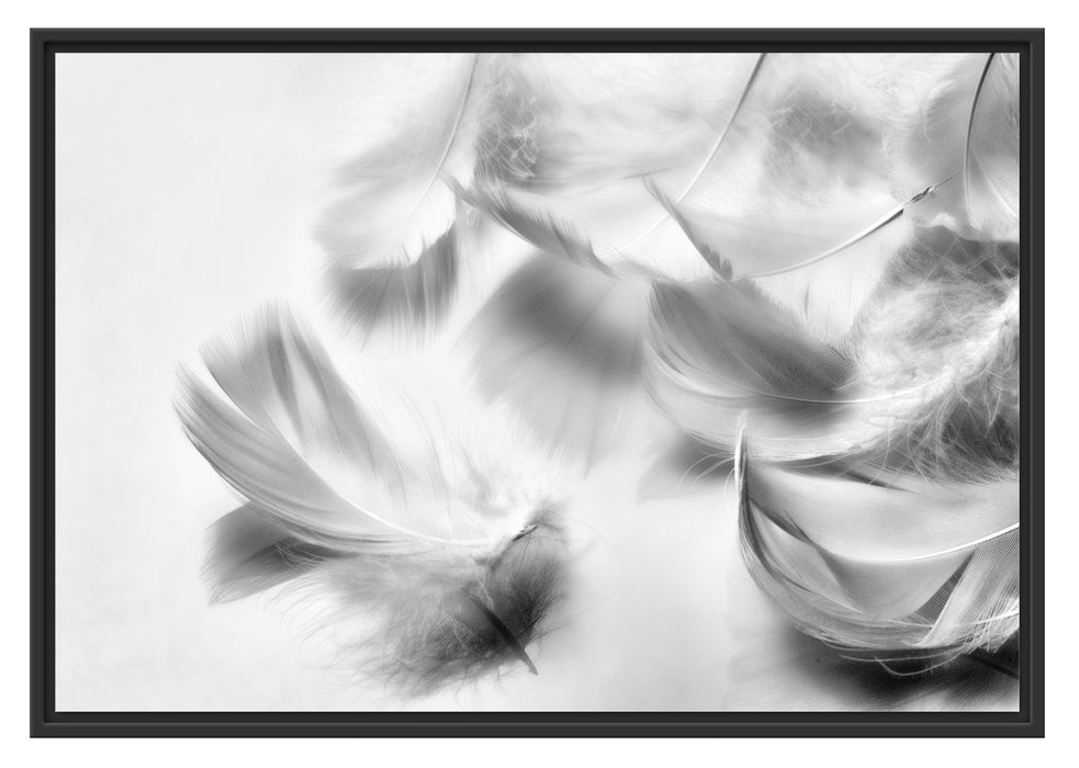 Pixxprint Weiße Feder auf schwarzem Stein, im Schwebe-Effekt Bilderrahmen
