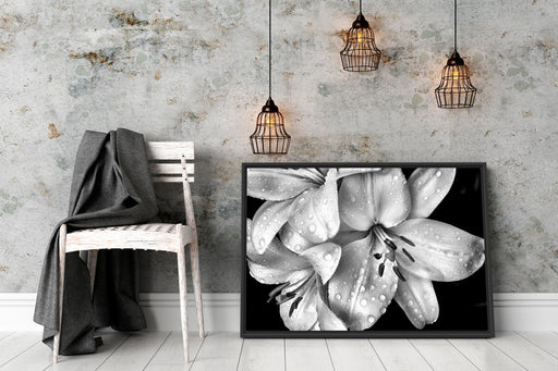 Dark Blüte schwarz-Weiß Schattenfugenrahmen Wohnzimmer