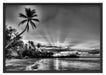 Palmen am Strand Schattenfugenrahmen 100x70