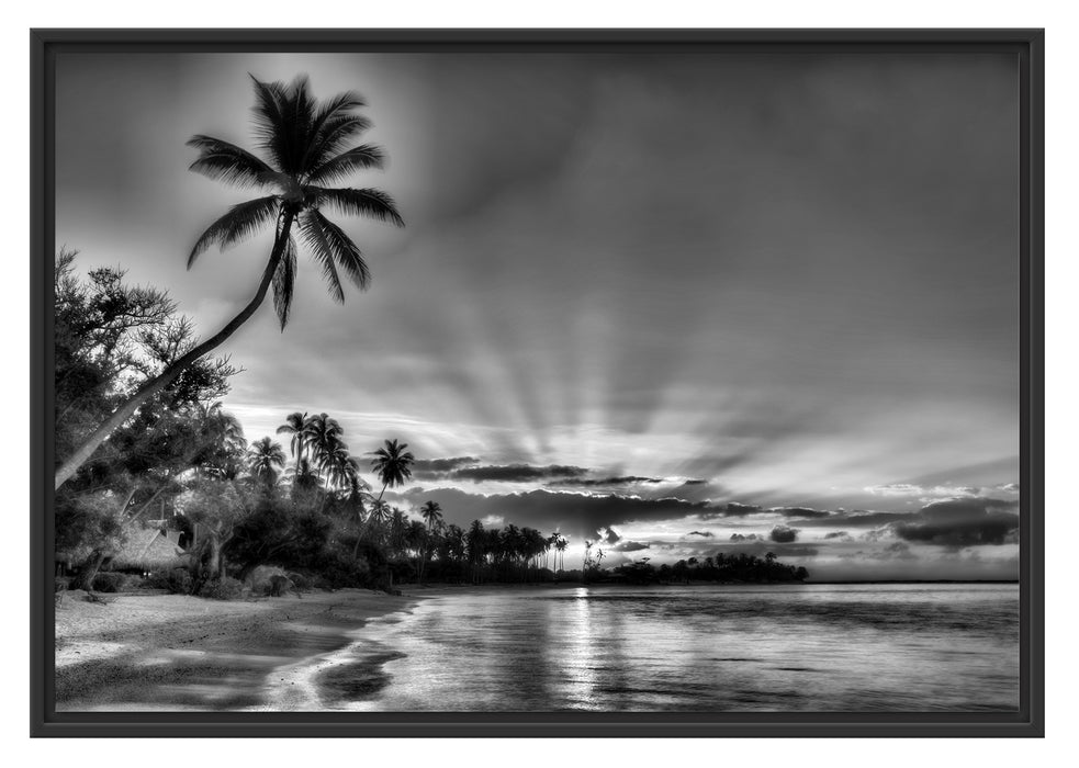 Pixxprint Palmen am Strand, im Schwebe-Effekt Bilderrahmen