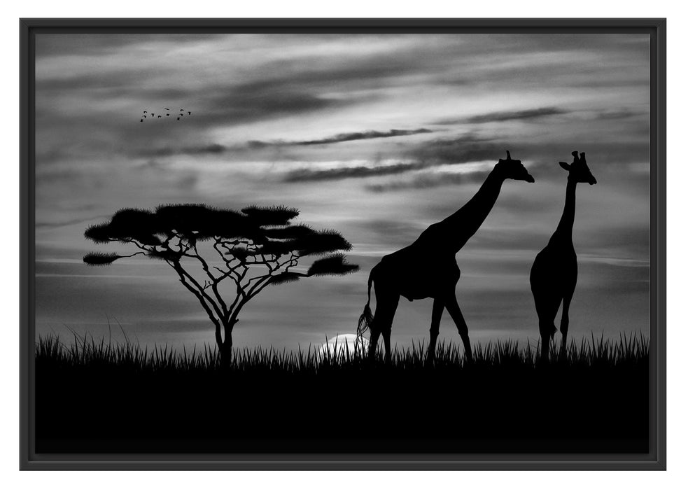 Pixxprint Afrika Giraffen im Sonnenuntergang, im Schwebe-Effekt Bilderrahmen