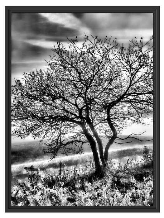 Baum im Gras Schattenfugenrahmen 80x60