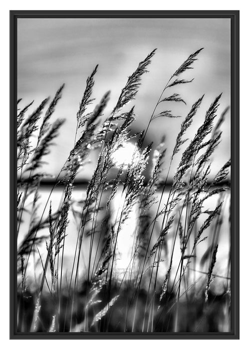 Pixxprint Sonne zwischen Gräsern