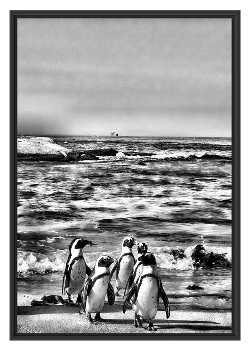 Pixxprint Pinguine am Strand