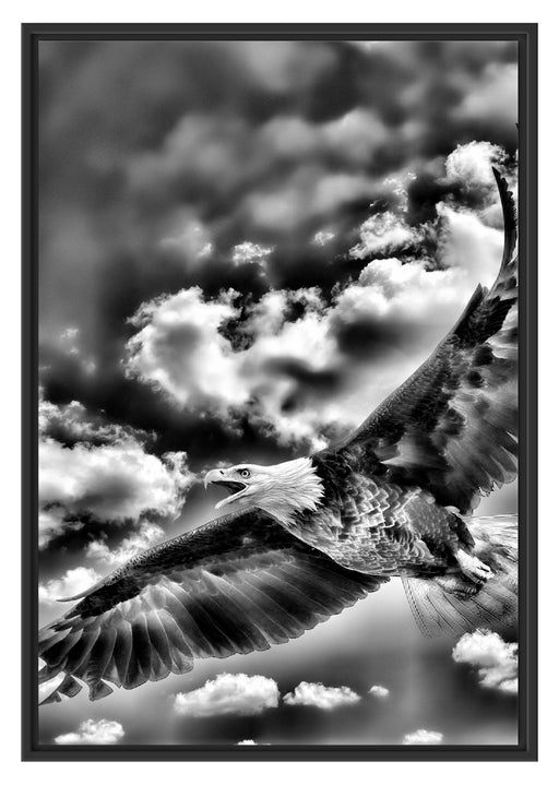 Adler fliegt über Berge Schattenfugenrahmen 100x70