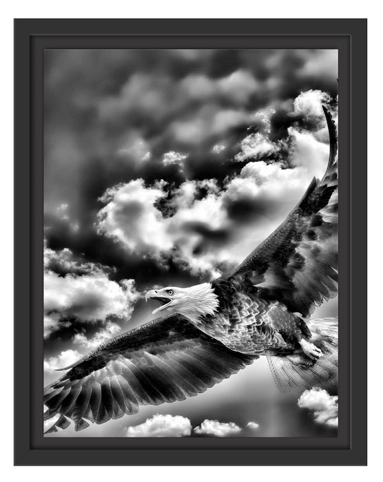 Adler fliegt über Berge Schattenfugenrahmen 38x30