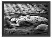 Meerjungfrau im Wasser liegend Schattenfugenrahmen 55x40