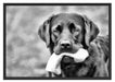 schwarzer Labrador mit Spielzeug Schattenfugenrahmen 100x70