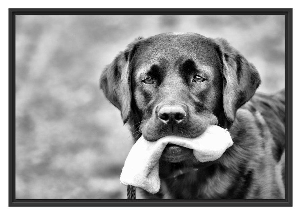 Pixxprint schwarzer Labrador mit Spielzeug